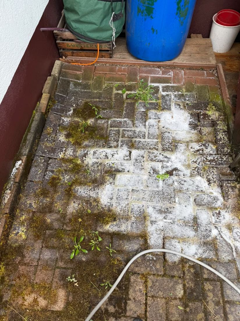 Stark vermooste Fläche vor der Reinigung