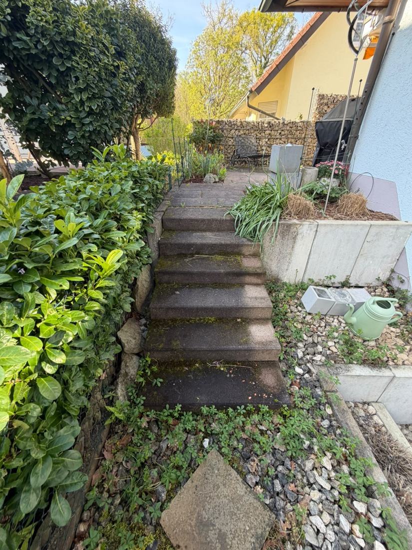 Treppe vor der Reinigung, dicht bewachsen